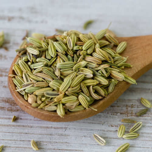 Fennel Seeds – Sweet Digestive That Supports Supply - nutriworld