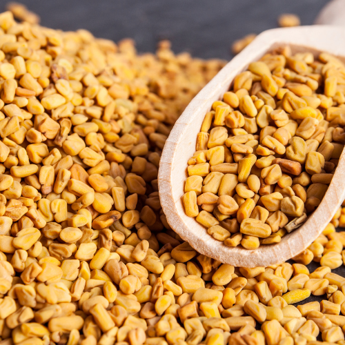 Fenugreek Seeds – A Traditional Lactation Booster - nutriworld