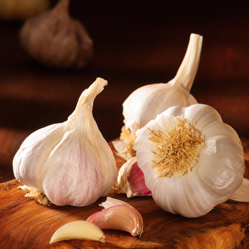 Garlic – The Secret Superfood in Your Kitchen - nutriworld