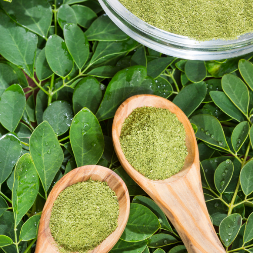 Moringa Leaves – A Nutrient-Dense Powerhouse - nutriworld