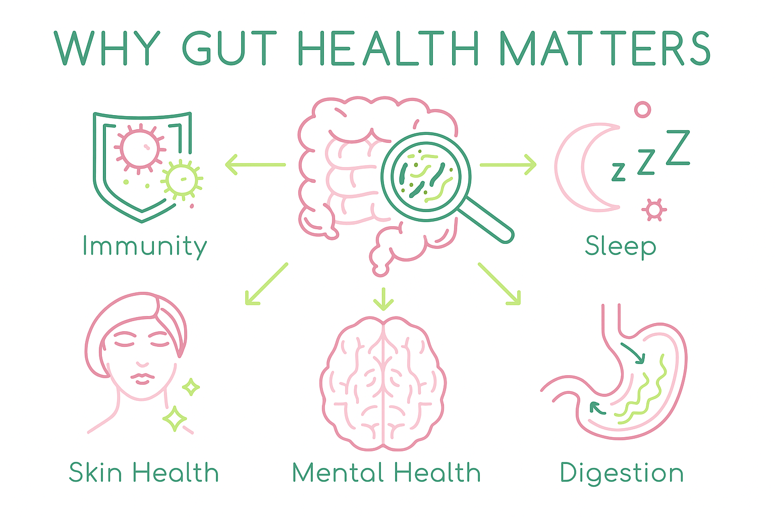 gut health