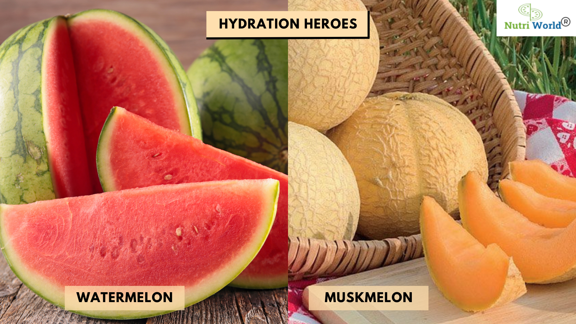 Hydration Heroes: Comparing Watermelon and Muskmelon for Your Health