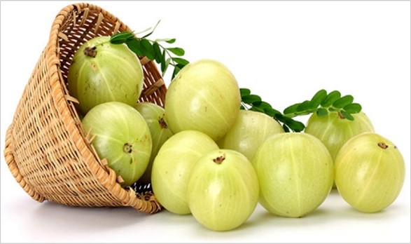 AMLA